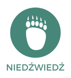 1_NIEDZWIEDZ