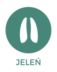 3_JELEN